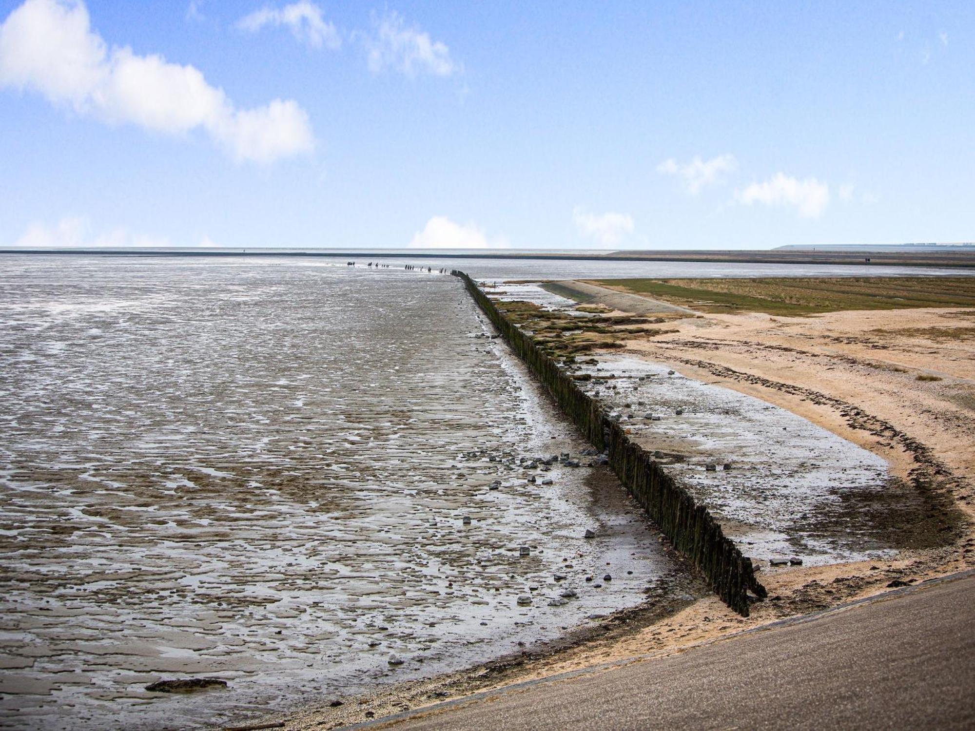 Fantastic Luxury Vacation Home And Next To The Wadden Sea Paesens ภายนอก รูปภาพ