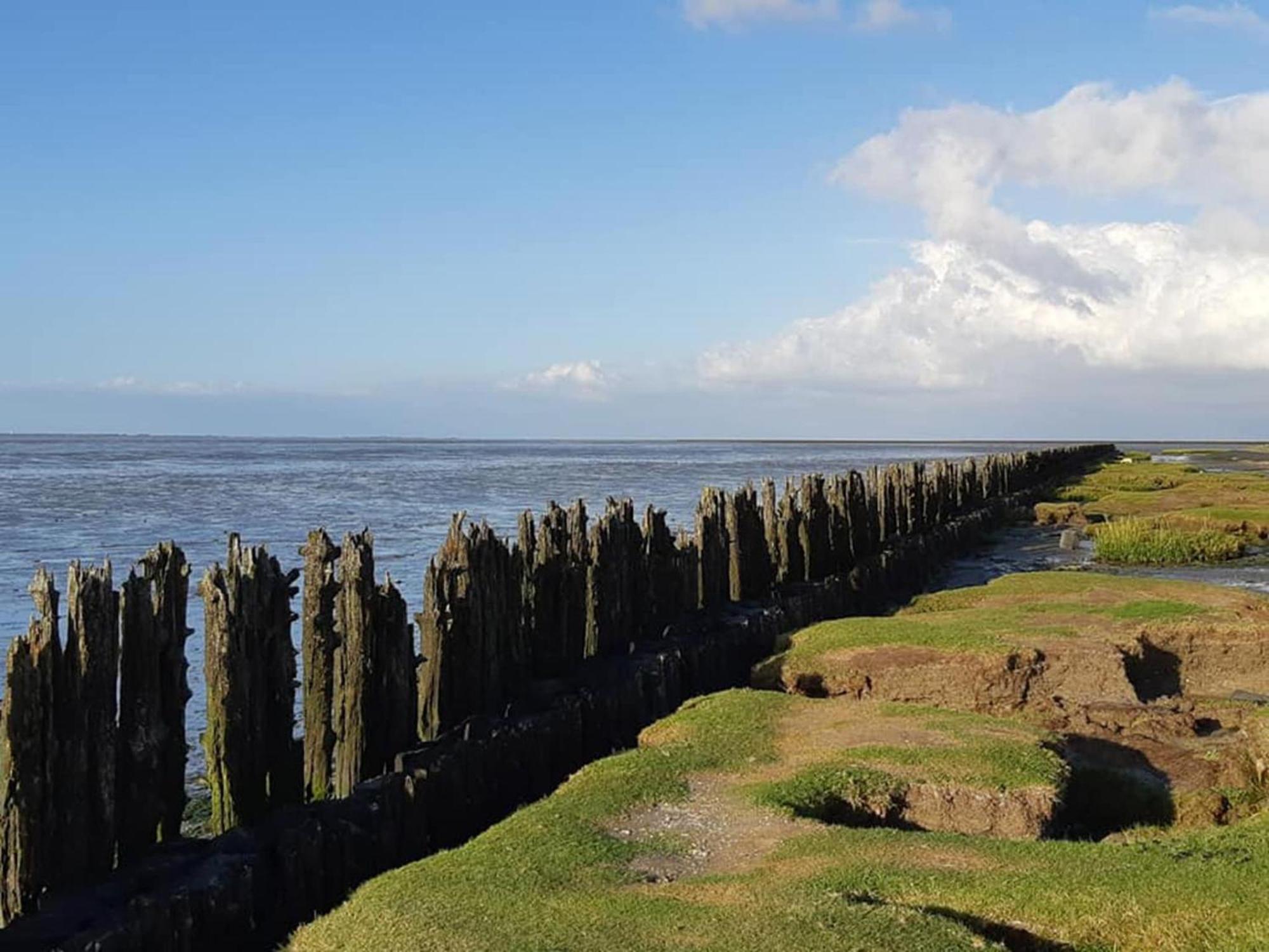 Fantastic Luxury Vacation Home And Next To The Wadden Sea Paesens ภายนอก รูปภาพ