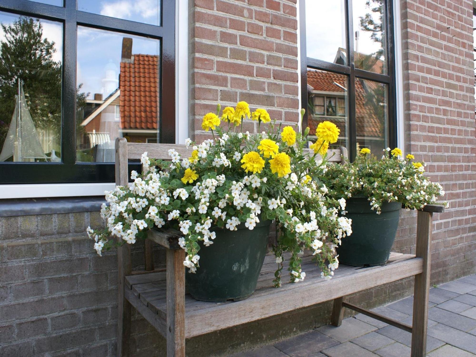 Fantastic Luxury Vacation Home And Next To The Wadden Sea Paesens ภายนอก รูปภาพ